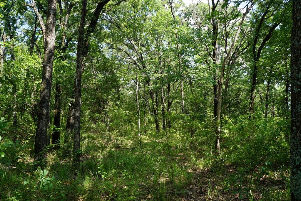 01 Cr-1403 Property Photo 6