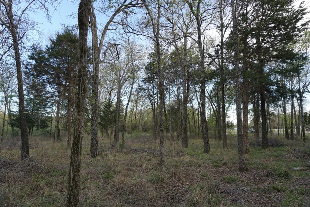 01 Cr-1403 Property Photo 10