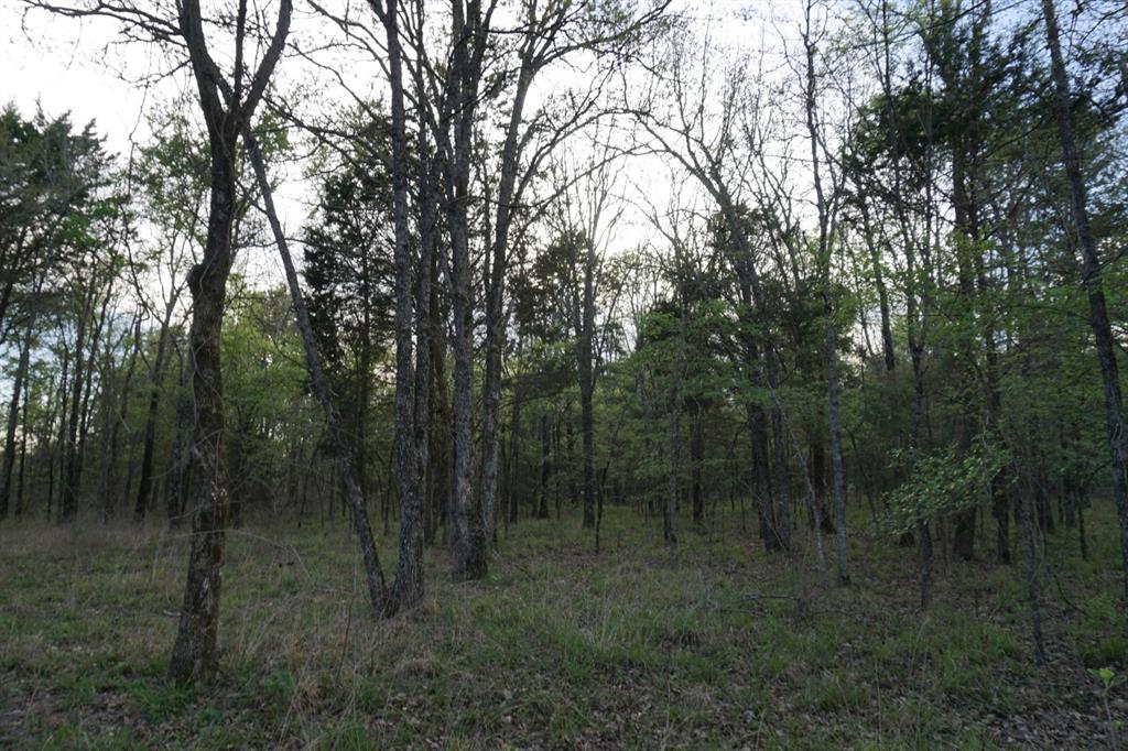 01 Cr-1403 Property Photo 13