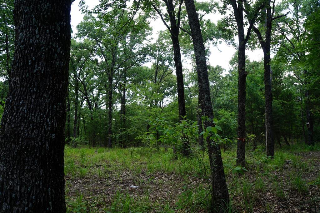01 Cr-1403 Property Photo 18