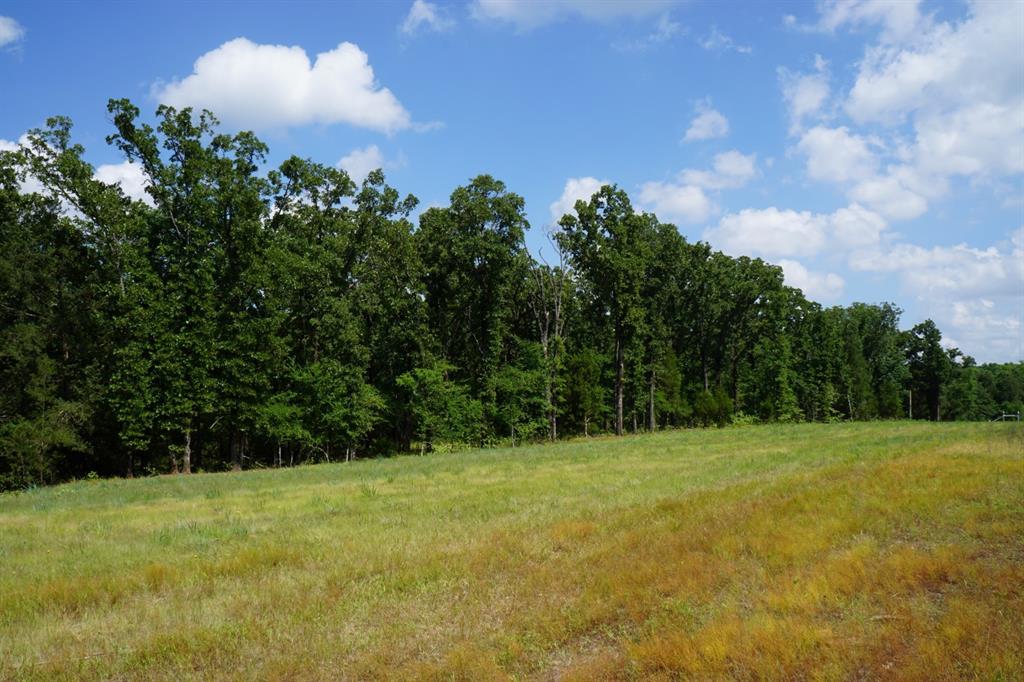 01 Cr-1403 Property Photo 24
