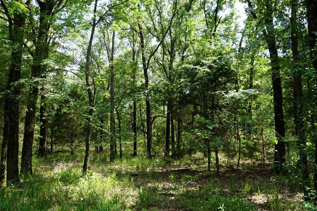 01 Cr-1403 Property Photo 26