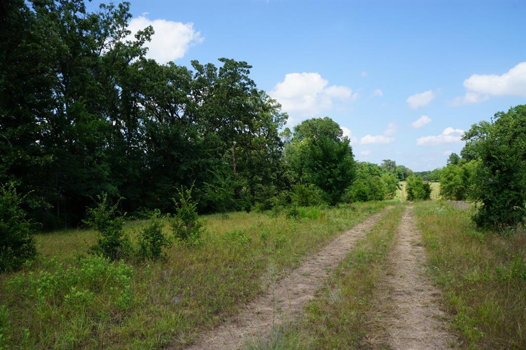 01 Cr-1403 Property Photo 29