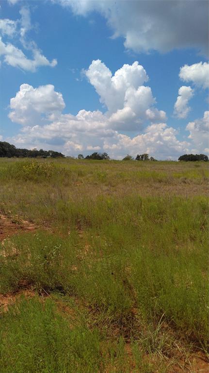 Tbd Lot 44 Cr 127 Property Photo