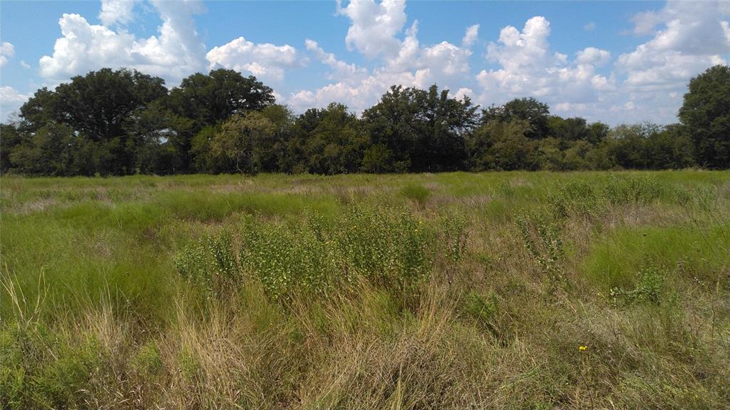 Tbd Lot 44 Cr 127 Property Photo 5