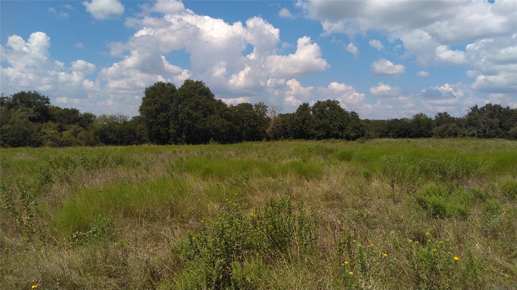 Tbd Lot 44 Cr 127 Property Photo 6