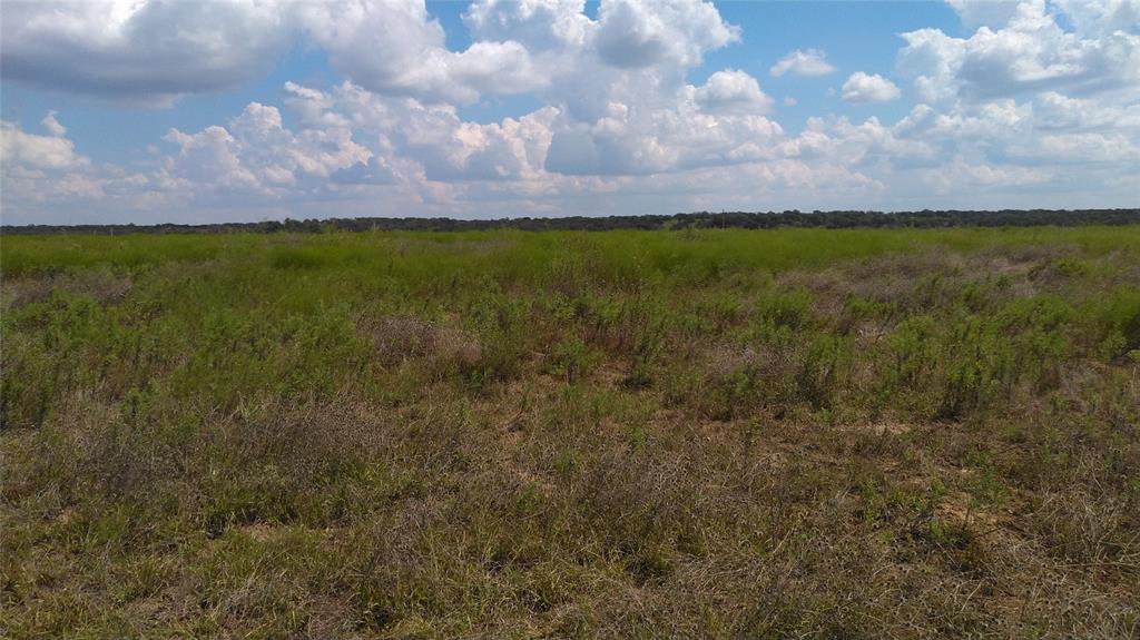 Tbd Lot 44 Cr 127 Property Photo 8