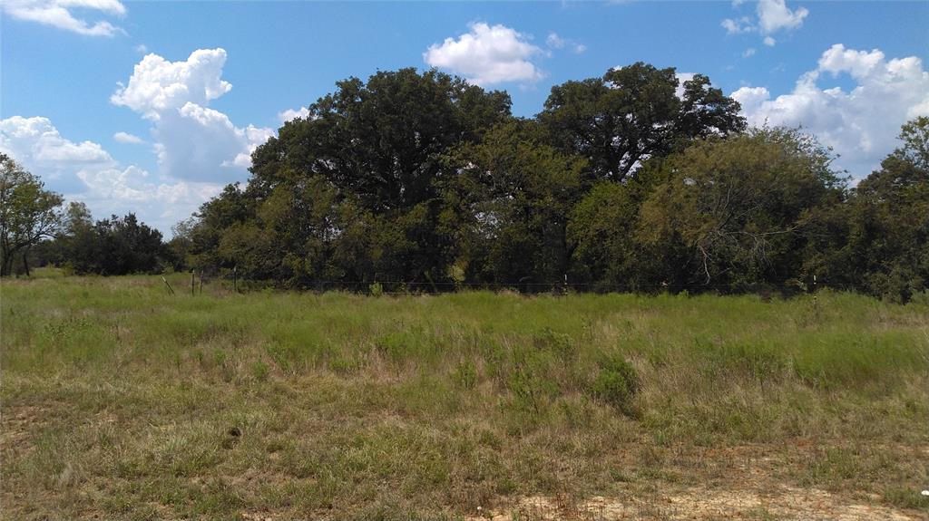 Tbd Lot 44 Cr 127 Property Photo 10