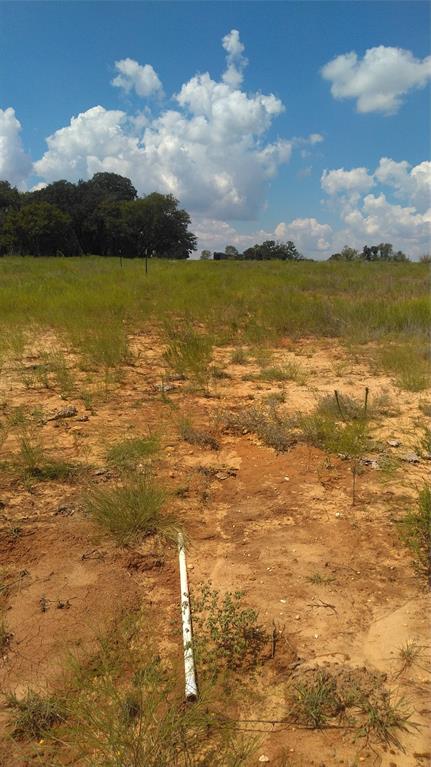 Tbd Lot 44 Cr 127 Property Photo 11
