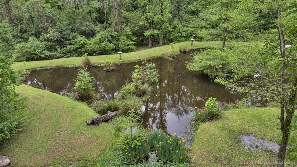 907 Woodland View Circle Property Photo 38
