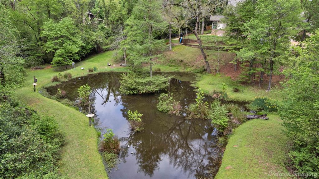 907 Woodland View Circle Property Photo 39