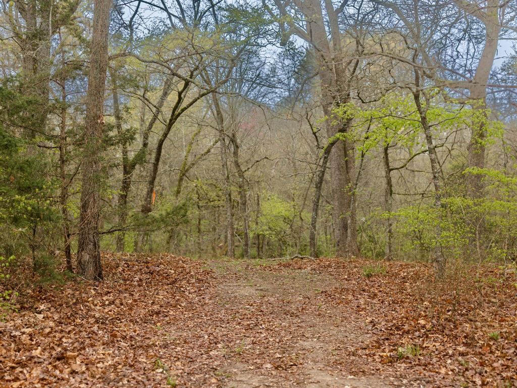 7902 Cr-4820 Property Photo 37