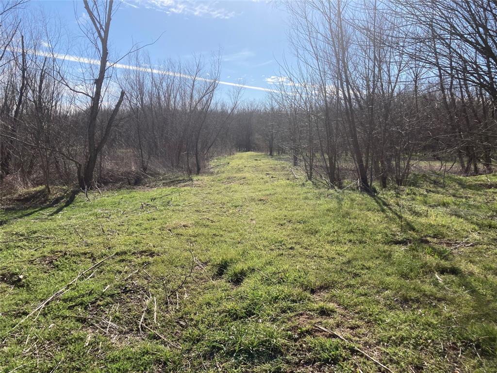 7008 Fm 3136 Property Photo