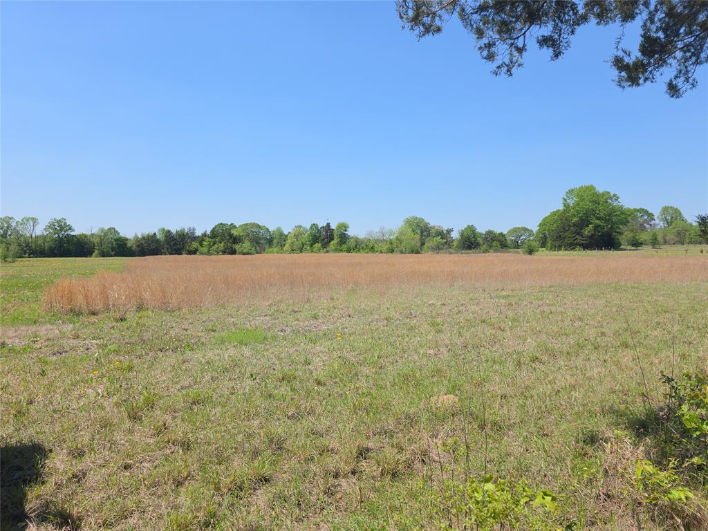 Simms Isd Real Estate Listings Main Image