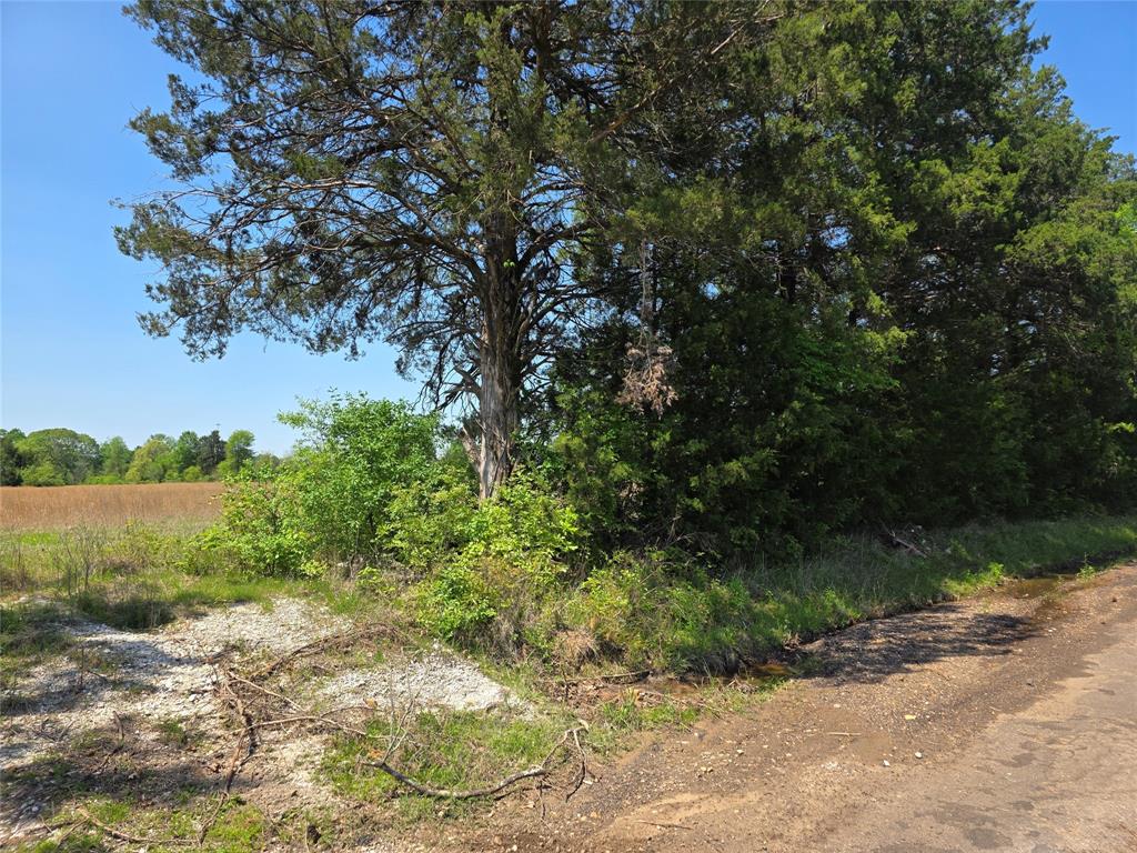 0000 Cr-4240 Property Photo 4