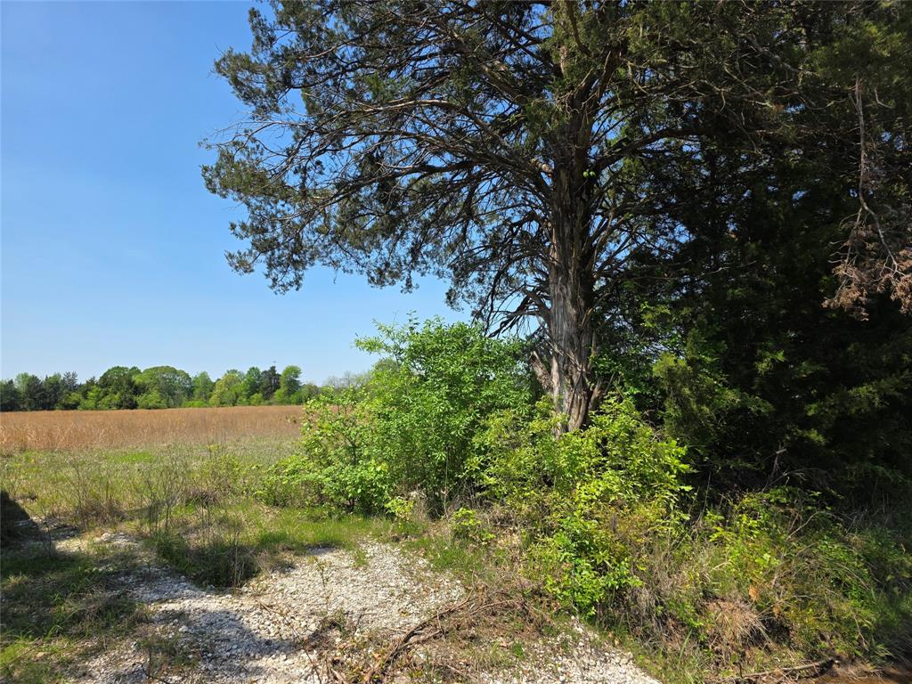 0000 Cr-4240 Property Photo 7