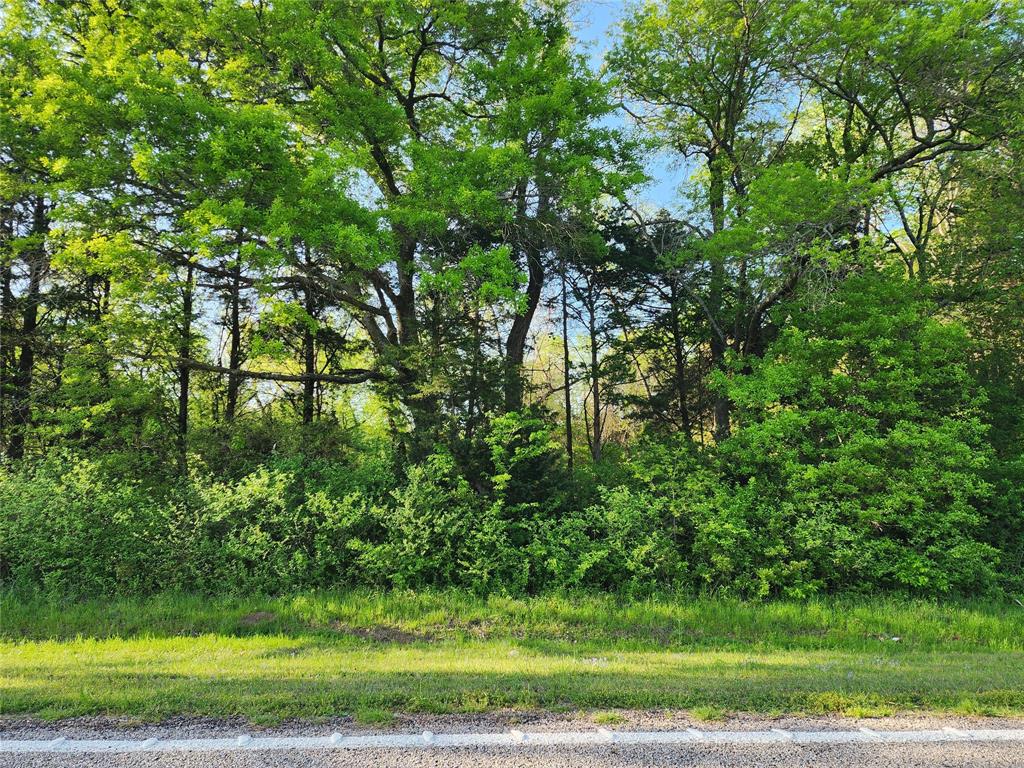 Tbd Fm-2194 Property Photo