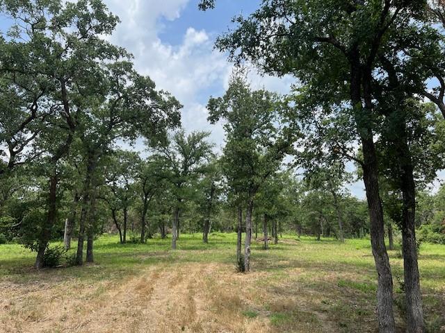 4417 County Road 801 Property Photo