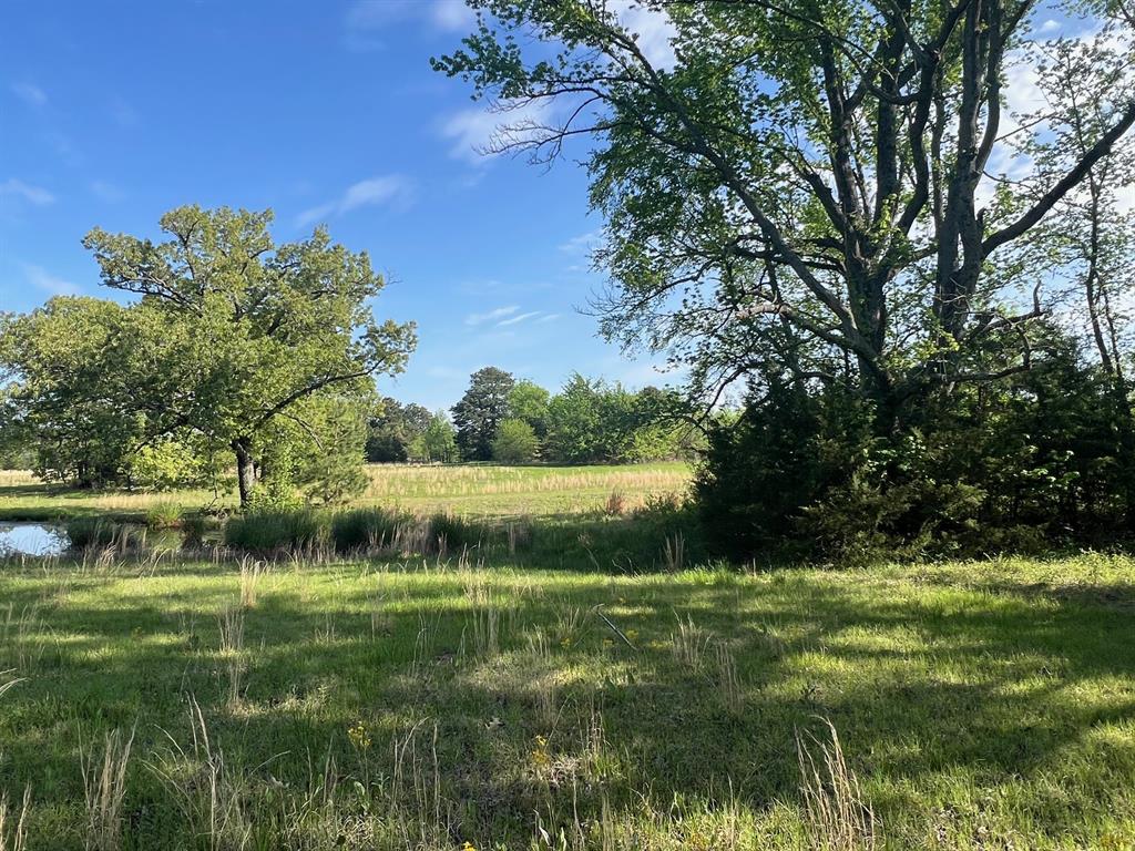 Tbd Cr 1755 Property Photo 1