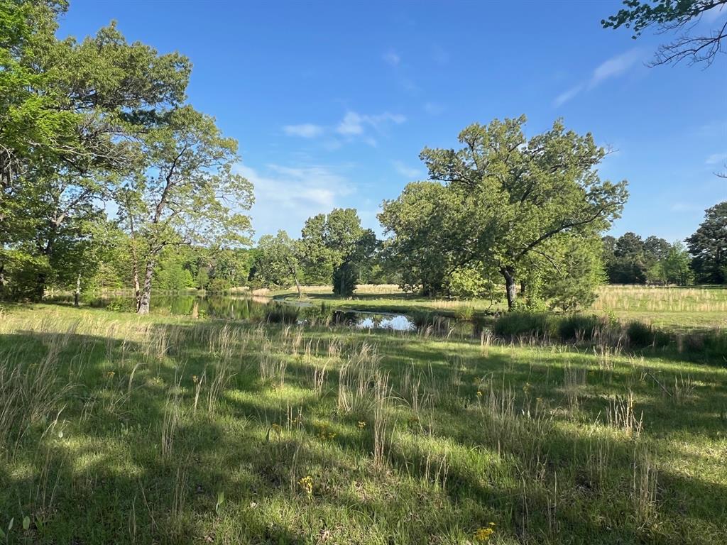 Tbd Cr 1755 Property Photo 2