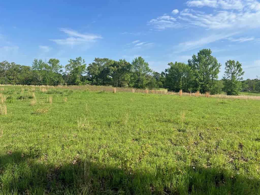Tbd Cr 1755 Property Photo 3