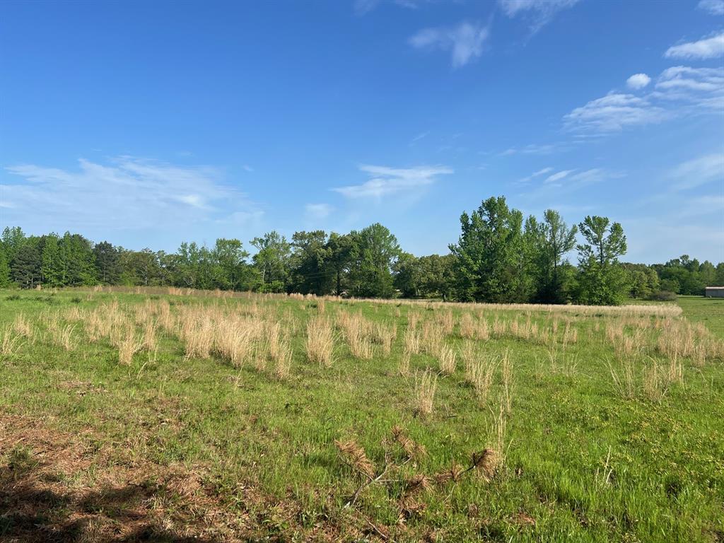 Tbd Cr 1755 Property Photo 4