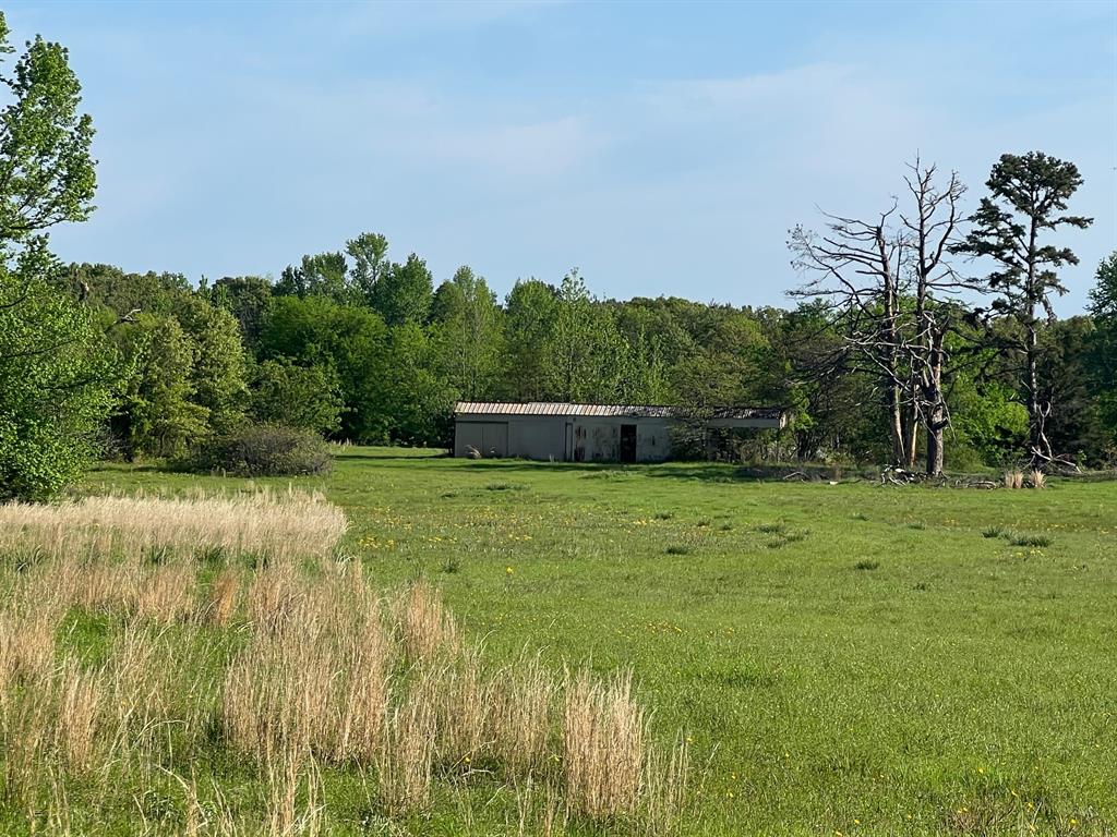 Tbd Cr 1755 Property Photo 5