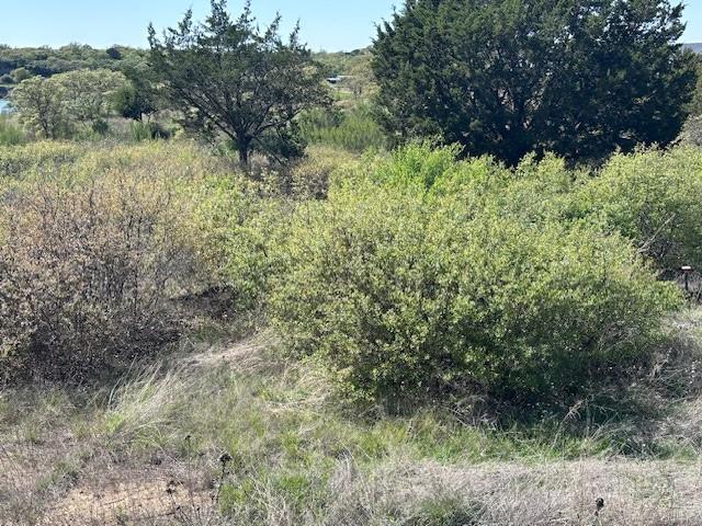 Lot 19 & 20 Hidden Shores Dr. Property Photo 5