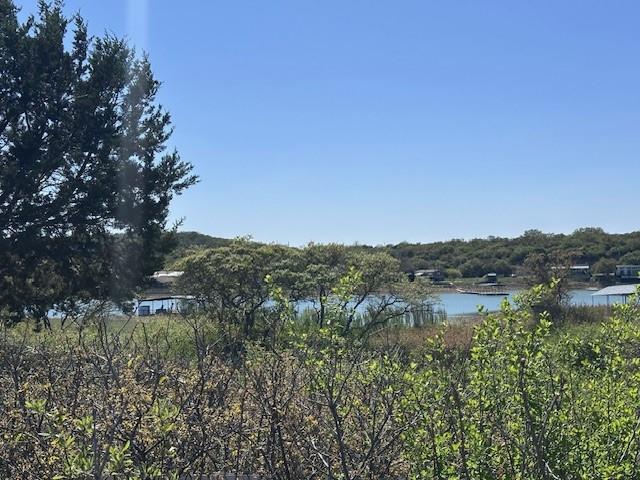 Lot 19 & 20 Hidden Shores Dr. Property Photo 6