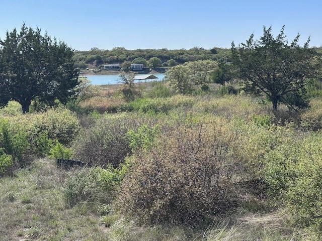 Lot 19 & 20 Hidden Shores Dr. Property Photo 8