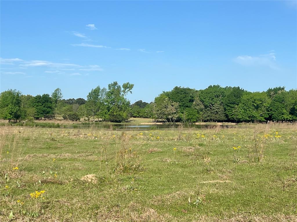 000 Fm 1402 Property Photo