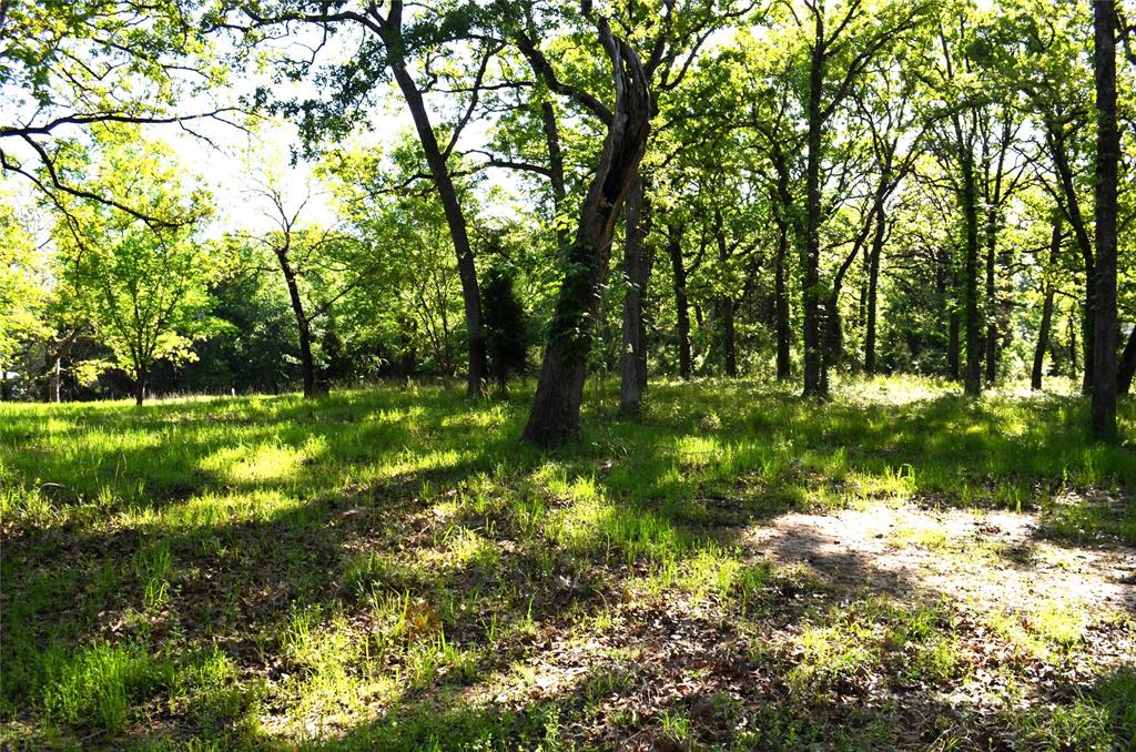 Lot 93 Point Lavista Property Photo