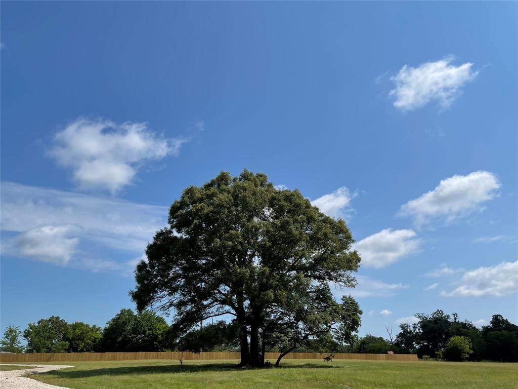 Lot 5a Rains County Road 2420 Property Photo