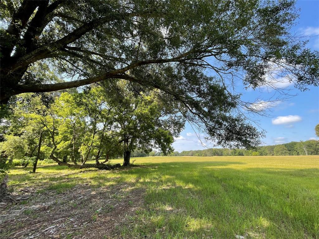 Lot 5b Rains County Road 2420 Property Photo