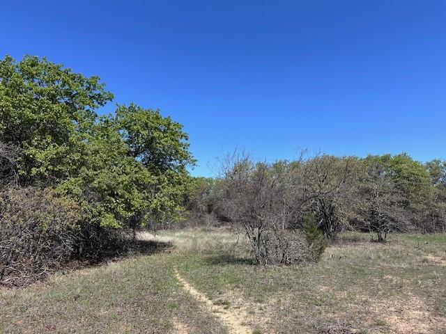 94.17 Ac Easement Access Off Cr 429 Property Photo