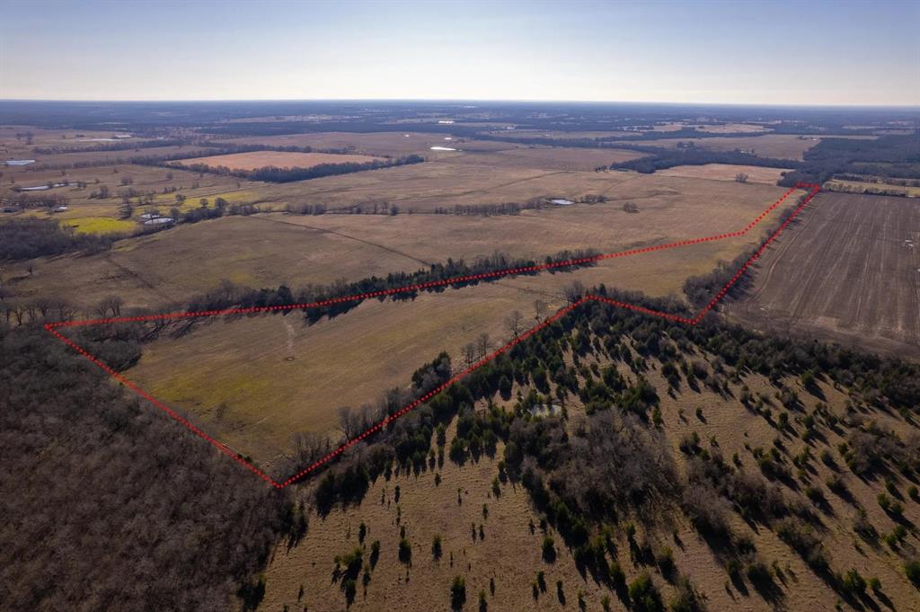 Tbd County Road 1300 Property Photo 4