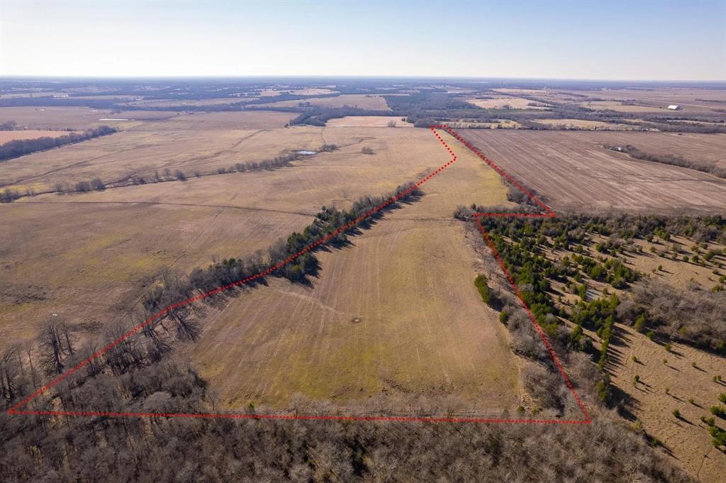 Tbd County Road 1300 Property Photo 17