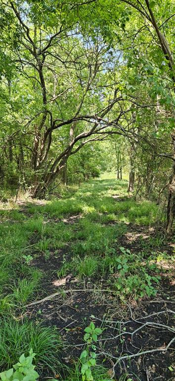 Tbd County Road 1300 Property Photo 30