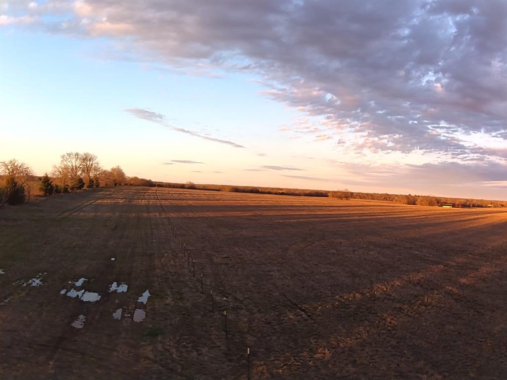 Tbd County Road 1300 Property Photo 31