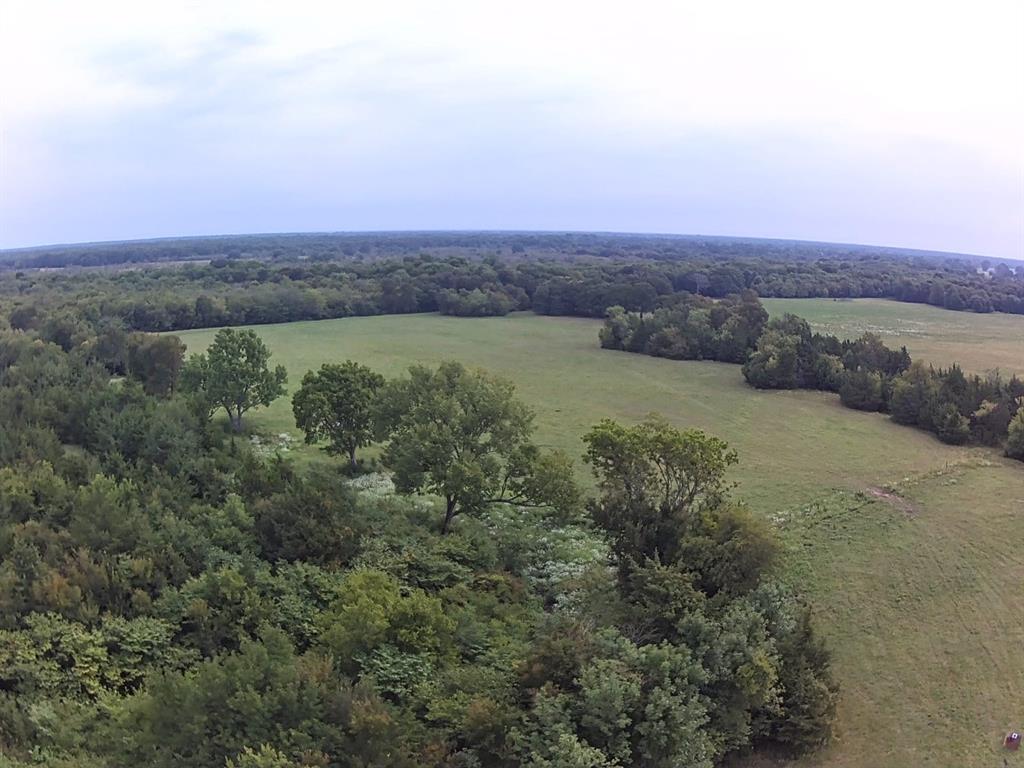 Tbd County Road 1300 Property Photo 32