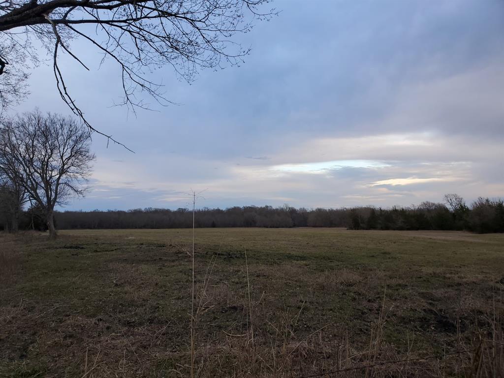 Tbd County Road 1300 Property Photo 37