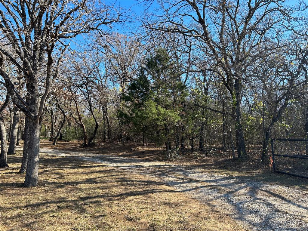 5979 Fm 1830 Lot 3 Property Photo 2