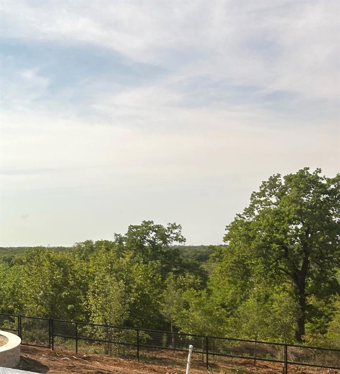 5979 Fm 1830 Lot 3 Property Photo 4