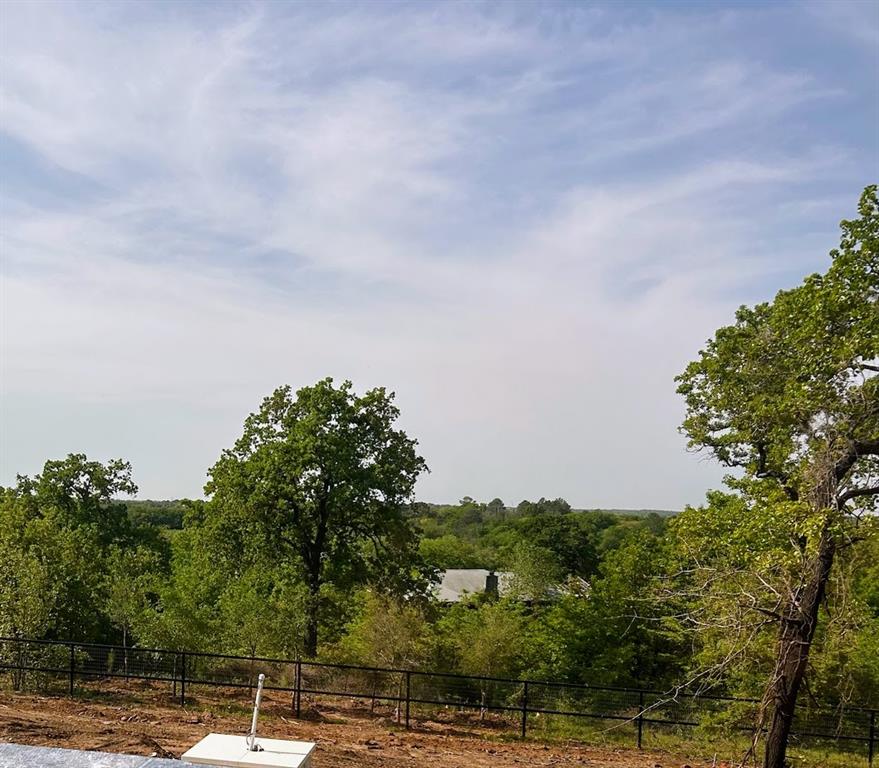 5979 Fm 1830 Lot 3 Property Photo 6