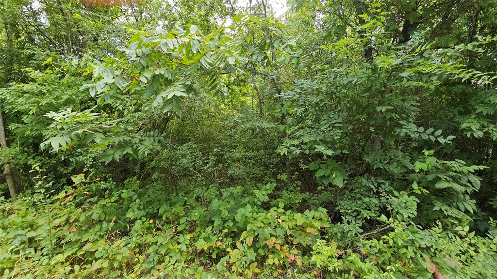 349 W Neagle Avenue Property Photo 4