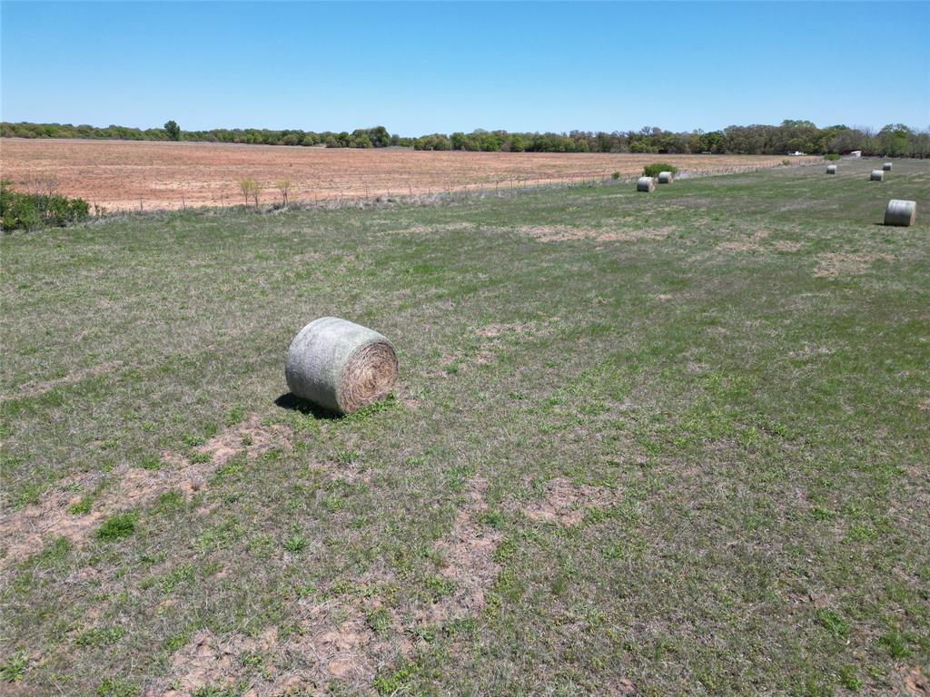 Tbd County Road 280 Property Photo 4