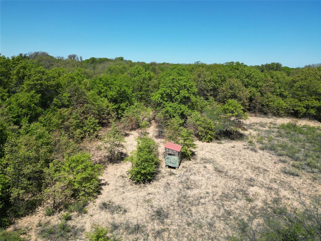 Tbd County Road 280 Property Photo 6