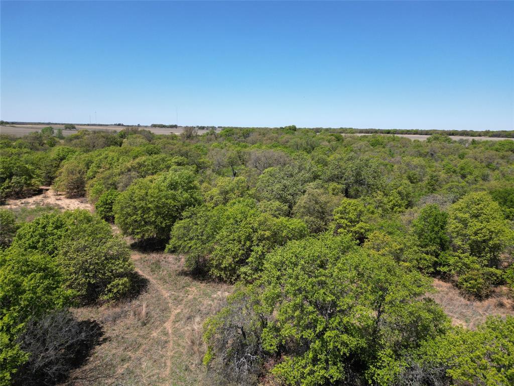 Tbd County Road 280 Property Photo 8