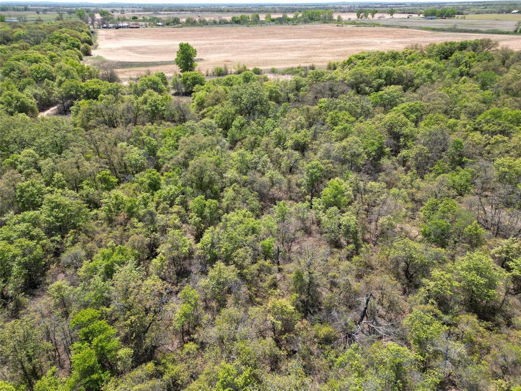 Tbd County Road 280 Property Photo 16