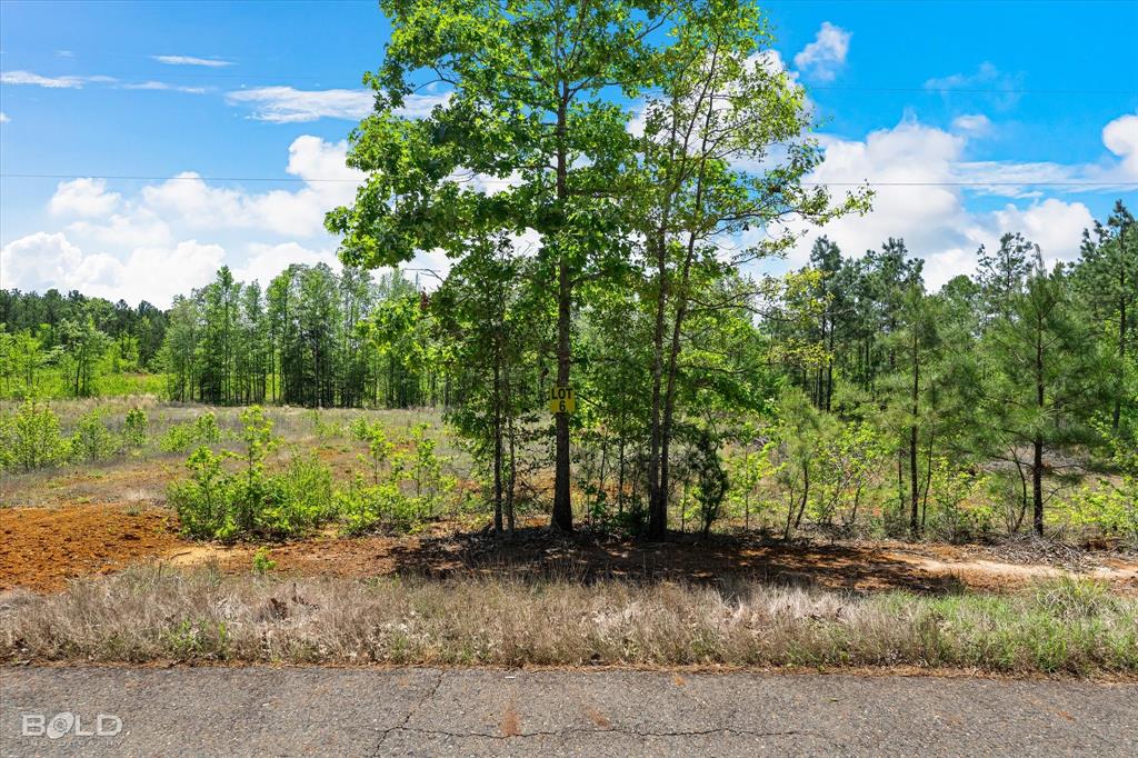 250 Martin Road Property Photo